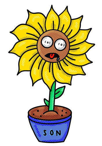 Sonflower
