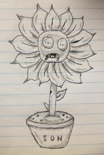 Sonflower - Sketch